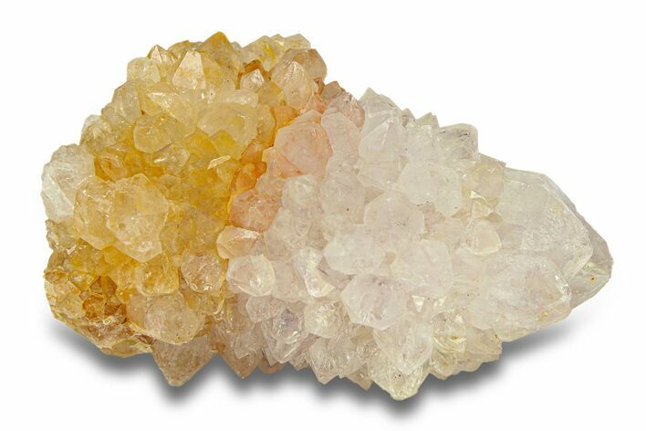 Sparkling Cactus Amethyst Crystal Cluster - South Africa #290232